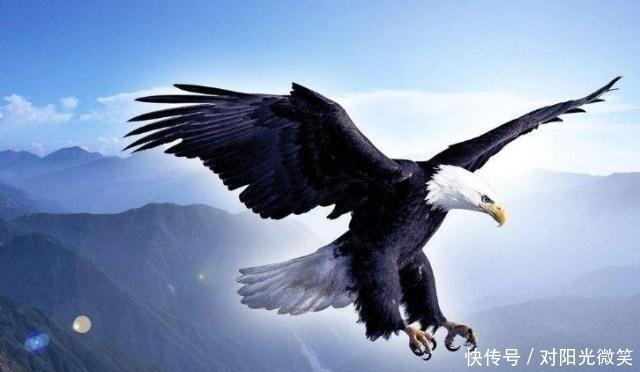 思维#真正内心强大的人,大多拥有这三种顶尖思维!