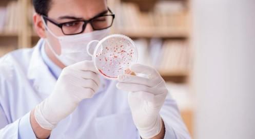 胃肠道|感染幽门螺旋杆菌怎么办谨记3吃4不做,有助胃肠道健康