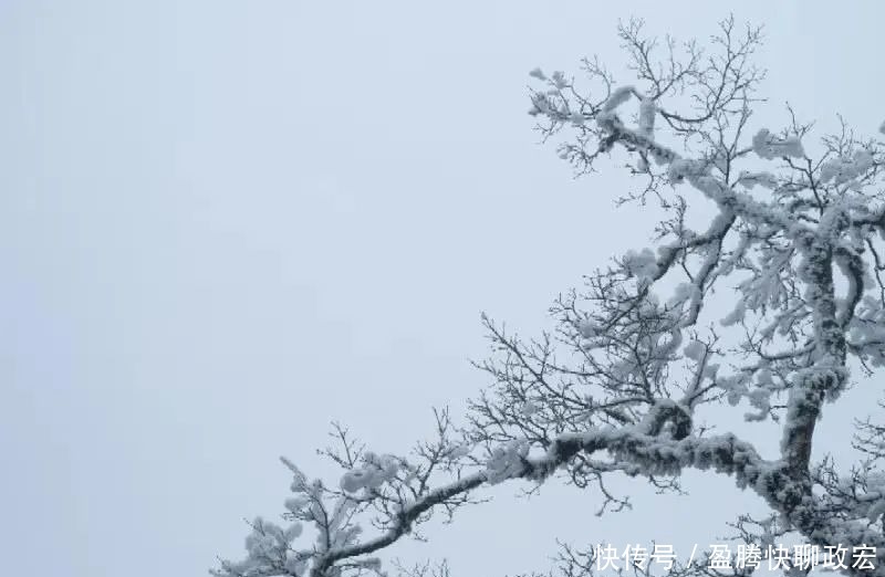 实在|贵州旅游｜贵州下雪啦！这些雪景图实在太美了！你那边下雪没？