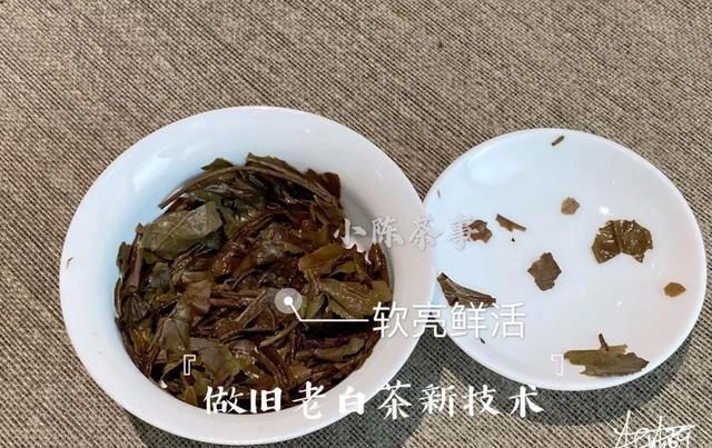 茶友|别单纯看黄叶片了,鉴别做旧老白茶用这个新招术,老茶友们都在用