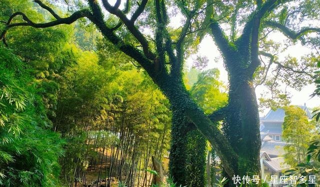 赫赫|岳麓书院——是中国历史上赫赫闻名的四大书院之一,学脉延绵