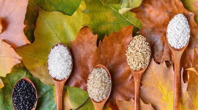 免疫系统|增强孩子抵抗力的6种食品，多多学习！