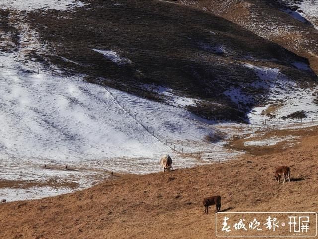 会泽草山：一个能尽情赏雪、玩雪的地方