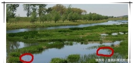 春末夏初巧寻板鲫:学会变通,找对方法