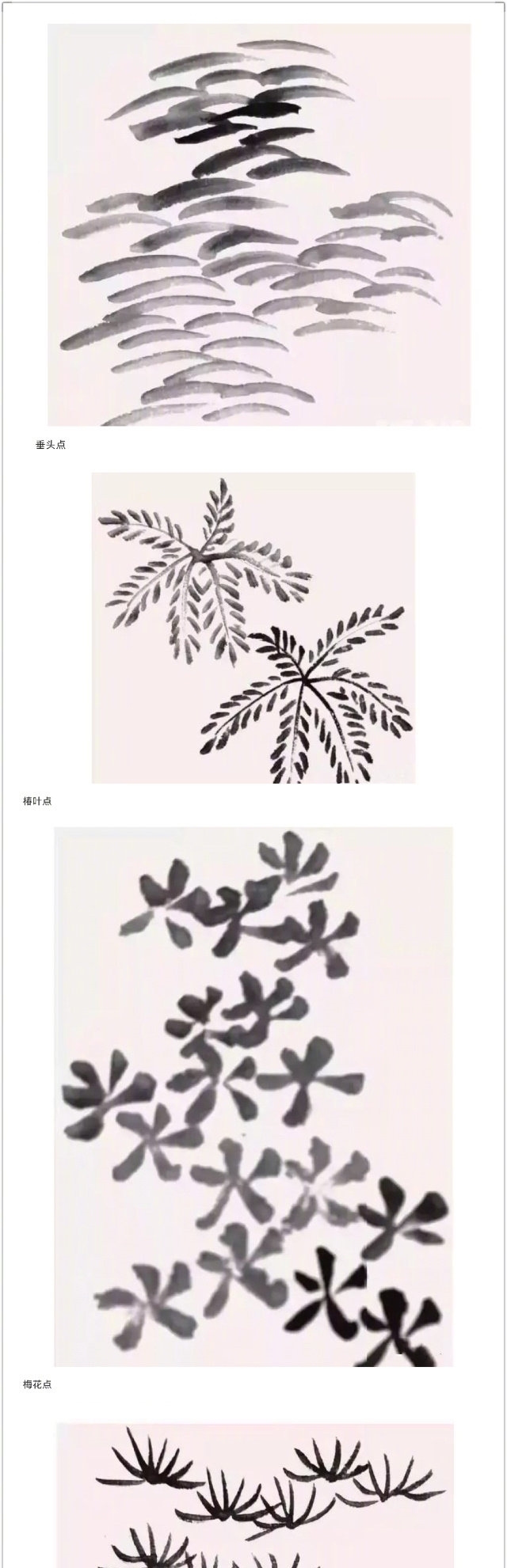 欣赏|清新淡雅江寒汀,花鸟欣赏!