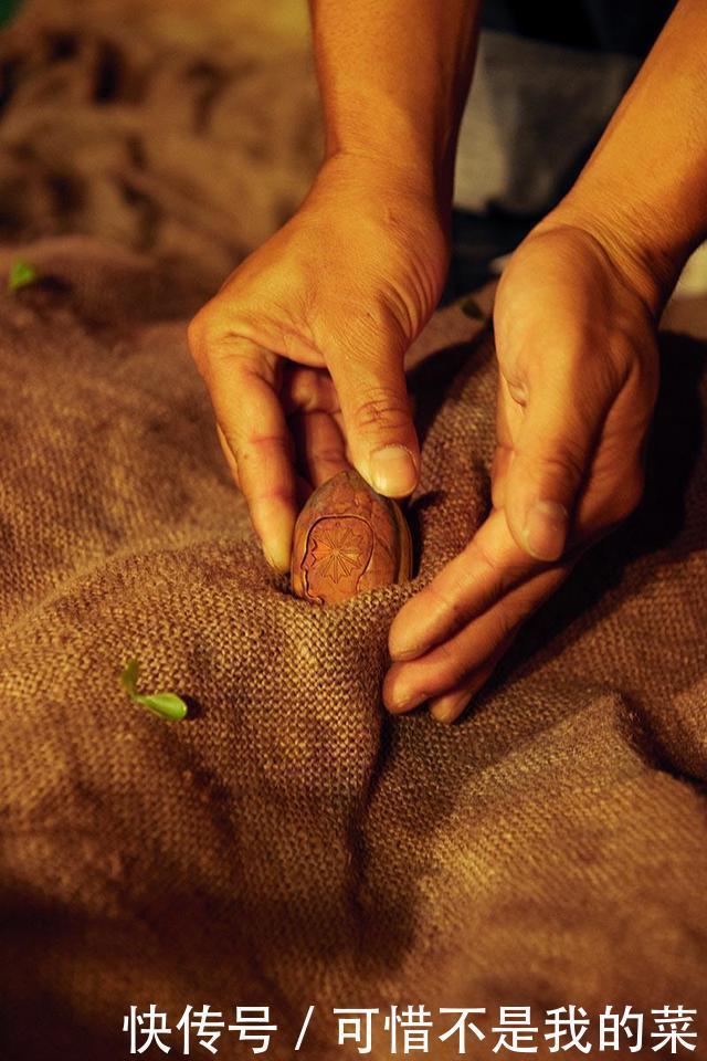 Brain Dead x Reebok田园联名!登记刚刚开启