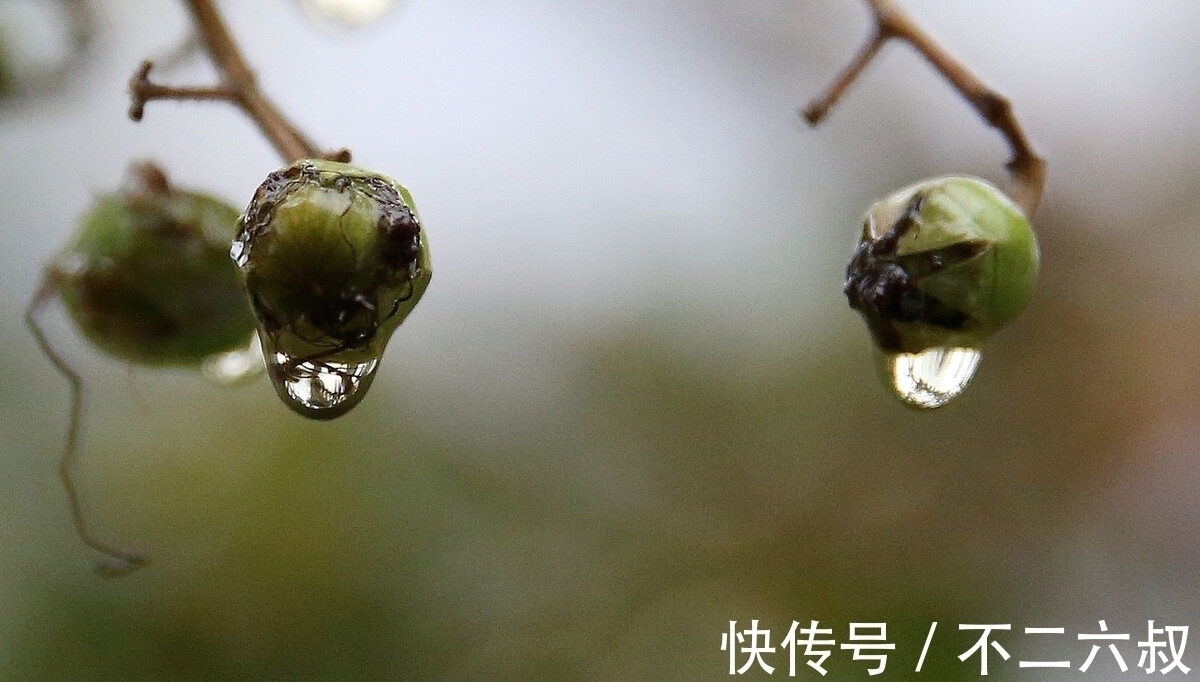 秋雨!唐代诗人韦应物的这首诗,写在秋雨之夜,他想要表达怎样的情感?