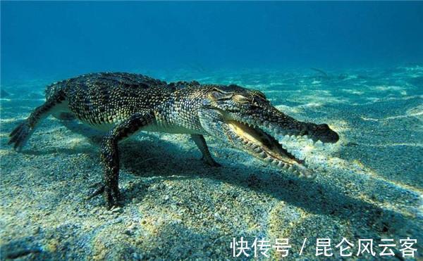 谢佛恩#有史记载唯一吃过龙肉的人,假如你是这些姓,也许就是他的后人