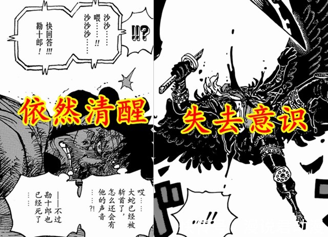 海贼王:多么不合理,锦卫门霸缠爆头仍苟且,烬霸缠一刀即昏厥