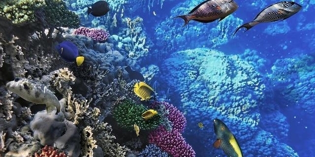 10个冷知识：爱说谎的孩子，都是坏孩子吗