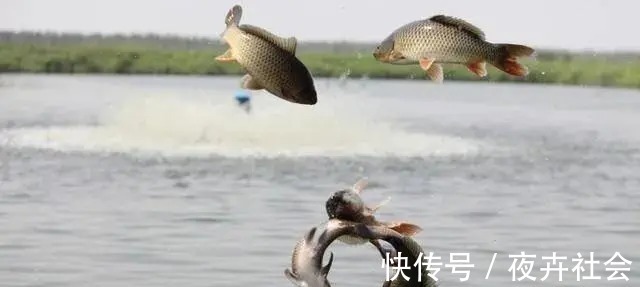 陌生水域找鱼的4个“独门绝技”，让你鱼口不停！钓鱼人一般都不想告诉别人！