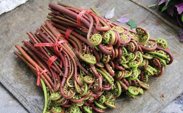 蕨菜|提醒:生活中常见的这5种野菜,尽量少吃,别再当成宝了