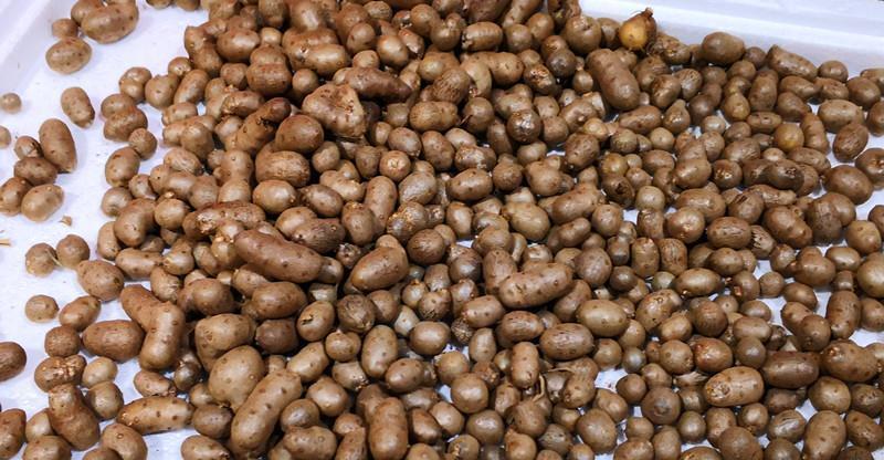 山药豆皮能吃吗?吃了对人体有无害处?为了家人的健康,不妨一看