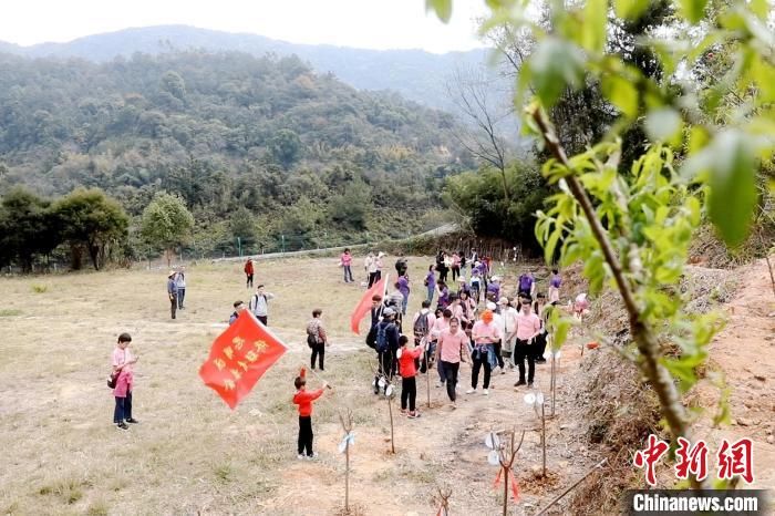 两岸同胞春日踏青 百人共植“同心林”