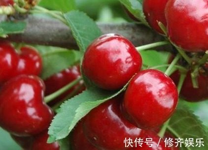 含有|女性不想变黄脸婆,要多吃几种食物,排毒养颜,美白祛斑,抗衰老