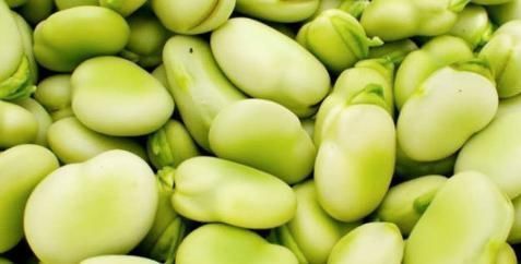 蚕豆|糖尿病的“福音”终于被找到了,每天吃一点,“血糖”自然降下来