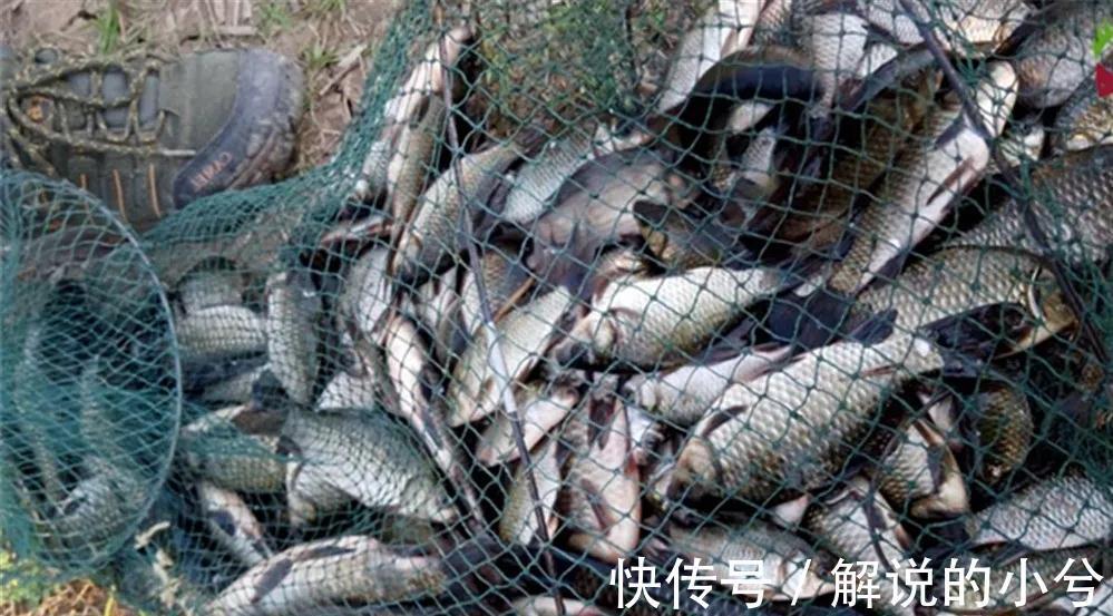 冬季钓鱼，想要有好的鱼获，做到这两点就足够了