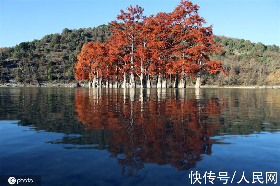 俄罗斯苏科湖秋意正浓