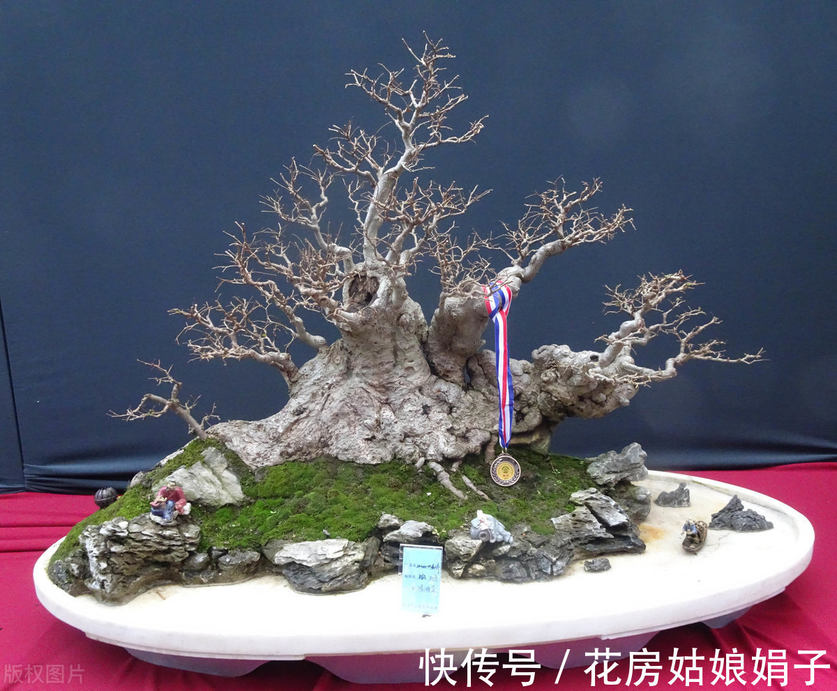 植物|别再为浇水发愁了,给你支招“10多10少”浇水法,比啥方法多管用