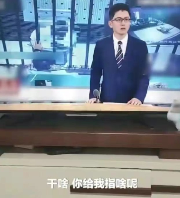 “你指啥”直播事故真相：節(jié)目是錄播，后期剪輯錯放片段！