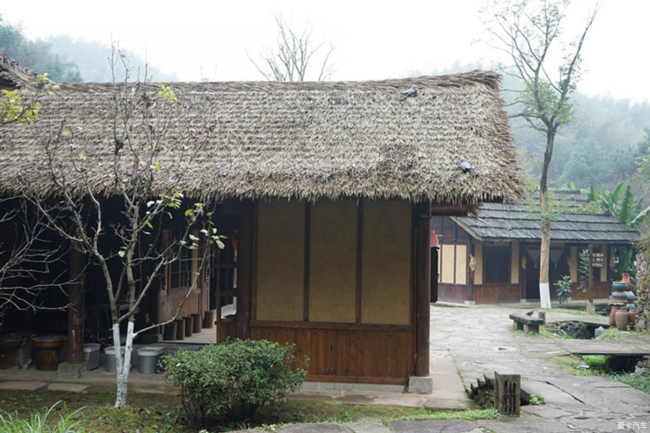 老年|入迷·秦谷