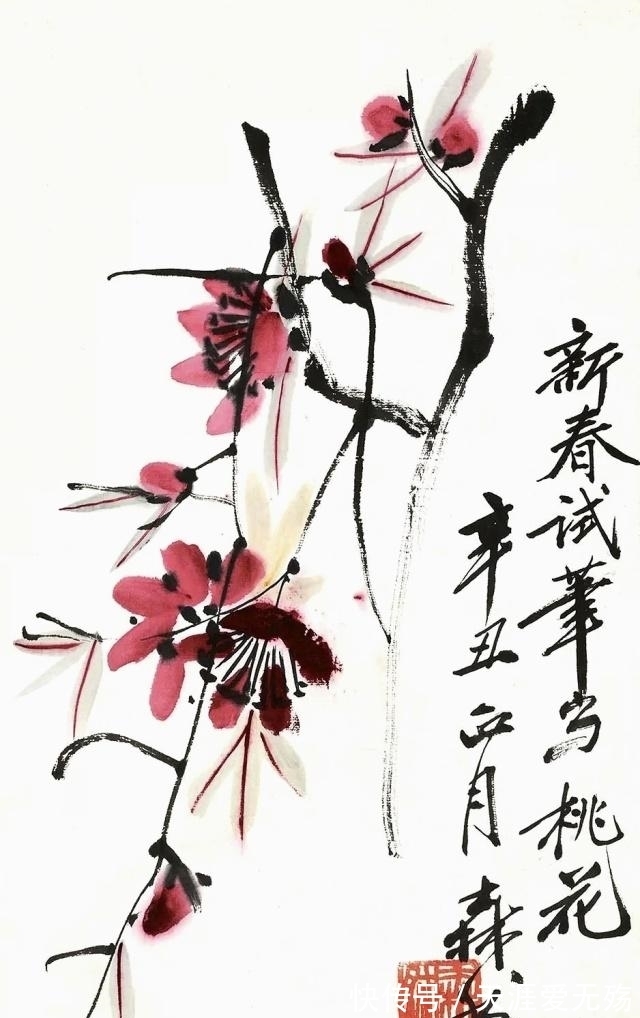 白石老人@欣赏《齐白石画集》,从画中读到满满艺术感