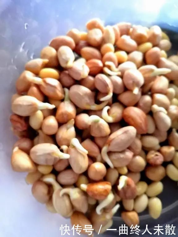 养花技巧1粒花生丢水里,比绿萝好看100倍,沤肥又能做菜