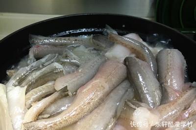 晚餐吃什么分享九肚鱼5款最新吃法,肉质细腻鲜嫩,下酒又下饭