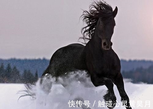 生肖|下个月开始，吉星高照，财神爷眷顾，要财有财的3生肖