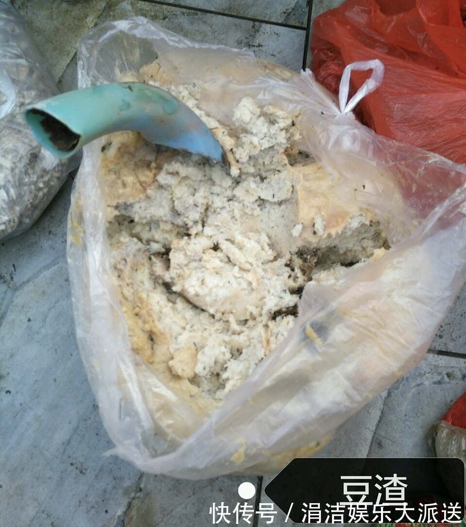 自制1种“混合土”,君子兰、绿萝最喜欢,1分钱不花,根旺叶绿