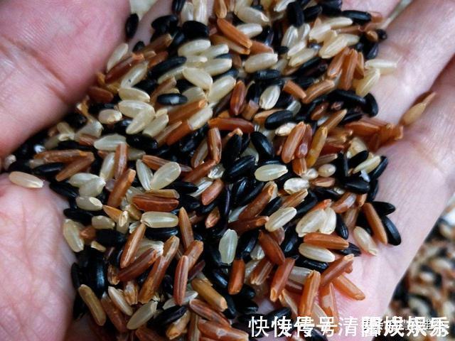 海带苗|建议中老年人:别舍不得花钱!多吃下面这些食物,营养美味气色好