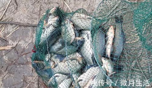 冬季钓鱼要领，记住这些老招数，让冬钓变得简单！