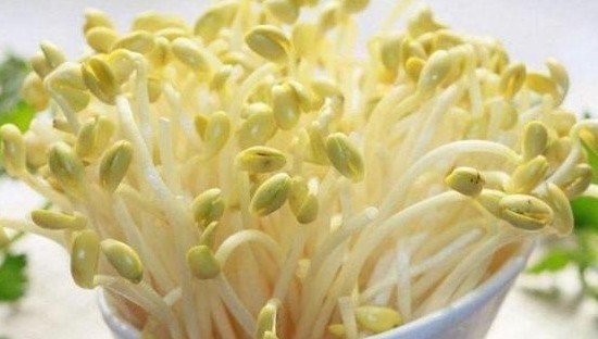 黄豆芽|一碗素汤,胜过骨头汤!活血降脂、补钙防癌,全家老少都能喝!