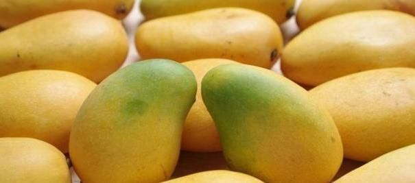 湿气不除百病生,3种水果尽量少吃,健脾祛湿,湿毒一网打尽!