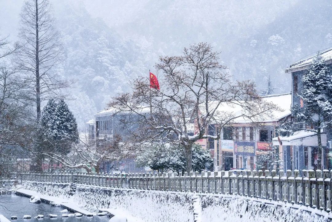 一夜之间|赏绝美雪景，邂逅野生小动物！