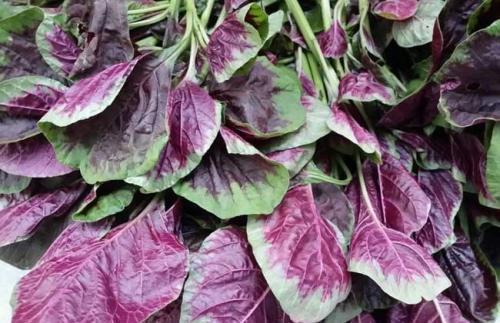 食物|女性想要身体好，不妨多吃四种食物，排毒养颜、增强体质