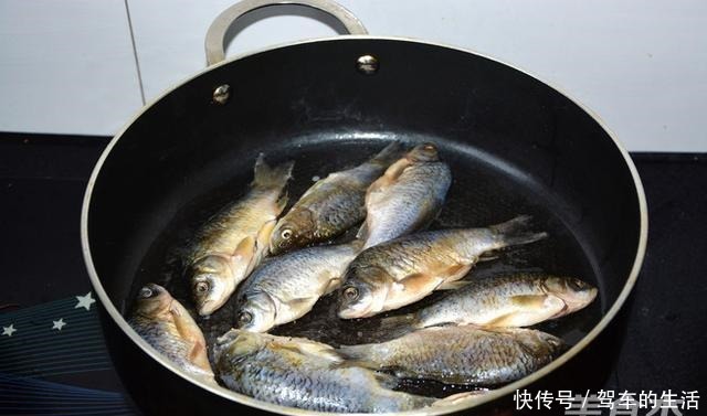 被人“误解”最深的鱼,浑身是宝,比草鱼营养,6元1斤却没人吃!