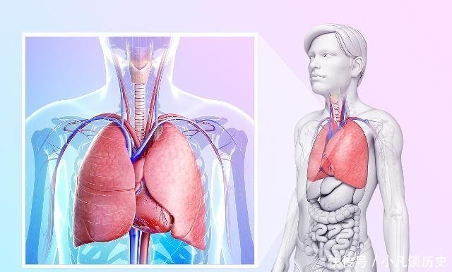 不论男女,每天喝一杯黄芪水,坚持一个月,或许这些好处悄然降临