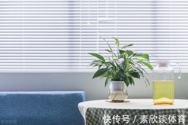 年宵花|如果不是万不得已,这3种花年后再买,省钱又好养