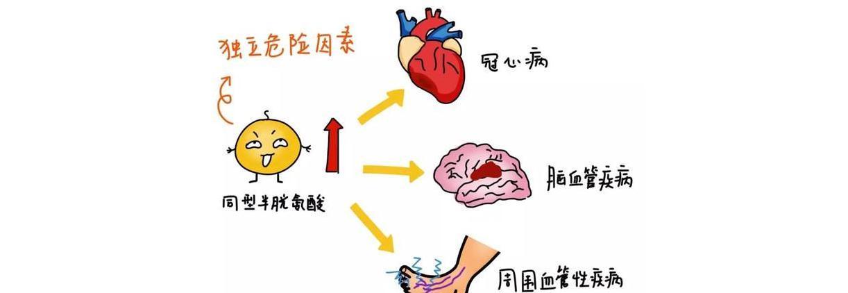 疾病|几块钱一瓶的维生素B6，可以调理6种疾病，服用时要注意什么？