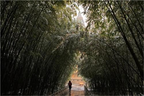 房山区：云居春雪如约而至，尽显春日银装之美