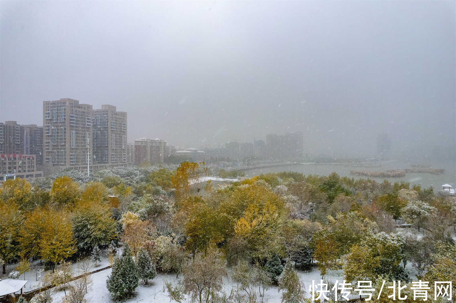 大雪|银川大雪纷飞！在2021年秋天的最后一天