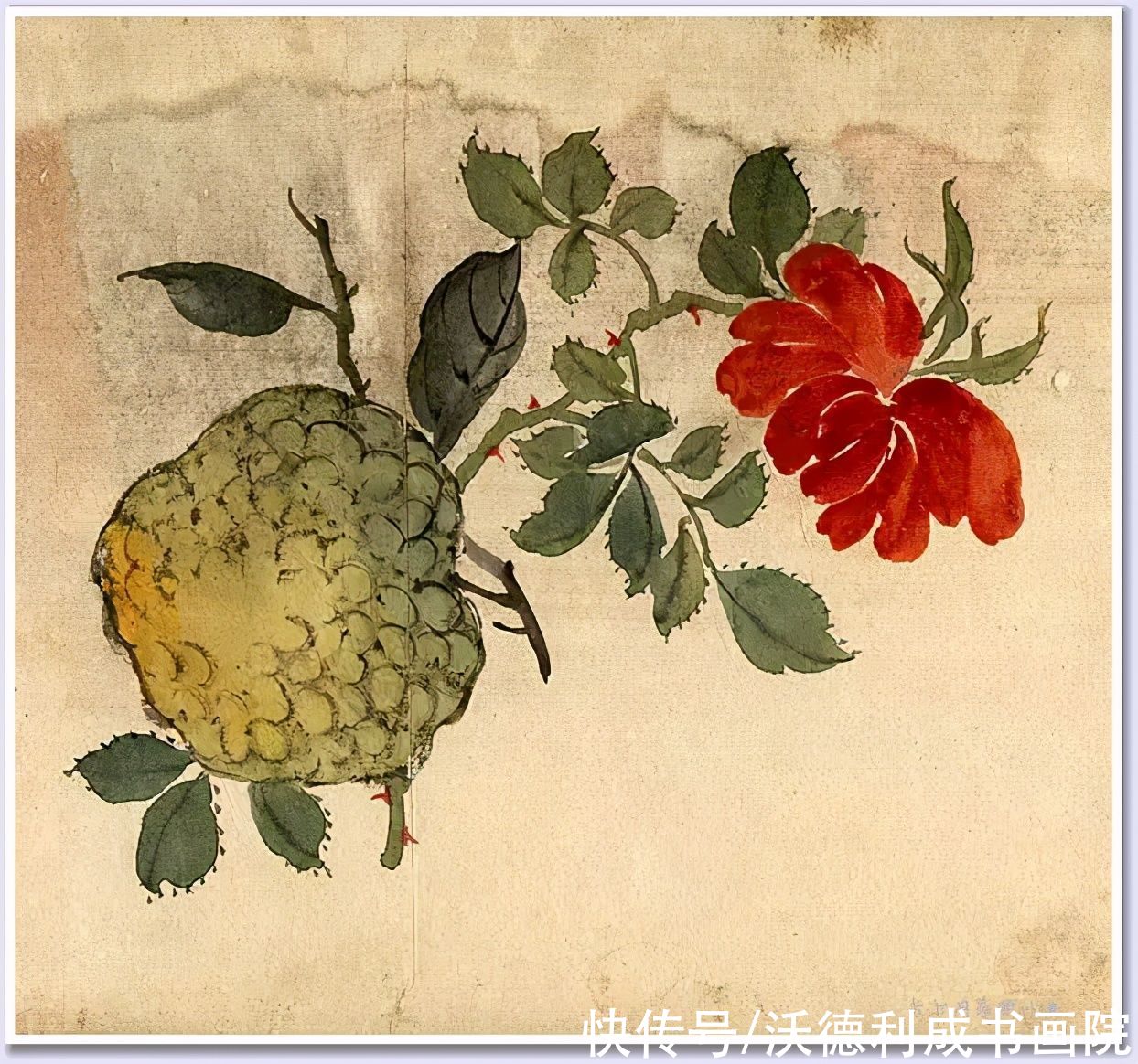 画菊|没骨百花图欣赏，美到骨子里