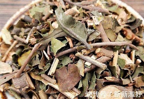 板栗|天然“肾黄金”终于被发现，男人平时坚持吃，或助肾脏更有活力