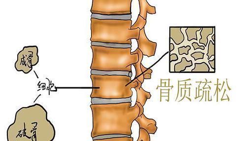 常喝|经常喝牛奶的女人和不喝牛奶的女人，一两年后，体质有什么差别？