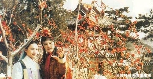 贾宝玉向妙玉乞梅，却称“费了好大的劲”，他在栊翠庵经历了什么