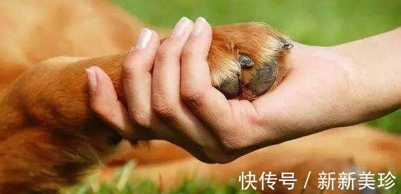 胎儿|孕妈妈要注意,这五种行为可能会造成胎儿畸形,不要再做了