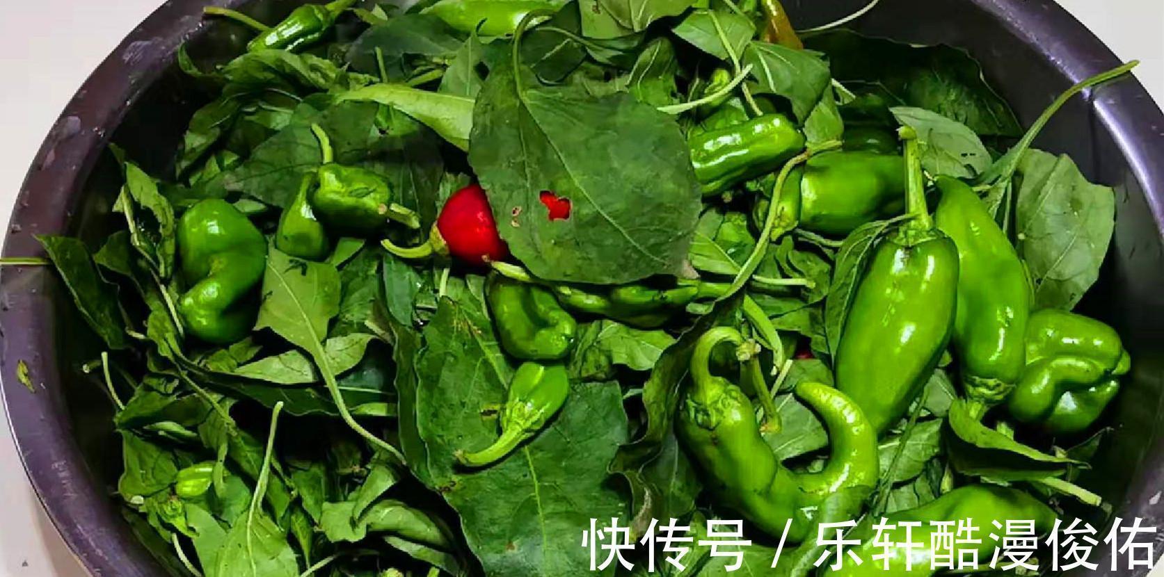 腌辣椒时，不要先加盐，教你1招，辣椒不生花不易坏又入味，真香