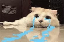 痘痘总难消？掌握这6大祛痘真相，助你战痘无烦恼！