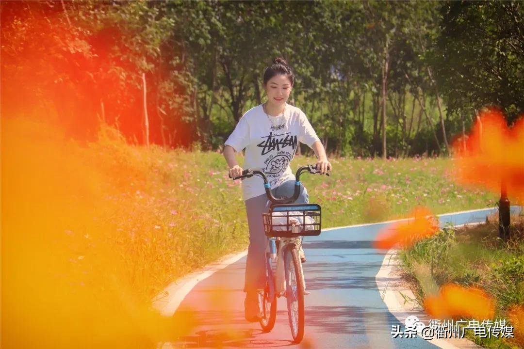 孔子花田|风车、花海、绿皮小火车……衢州这块家门口的网红打卡地宛若宫崎骏漫画！